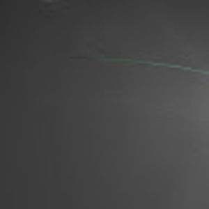 Meet your Posher, Nicholas